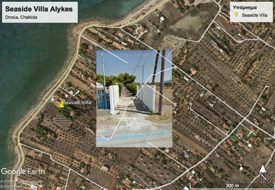 Seaside Villa In Alikes, Chalkida Дросія Екстер'єр фото